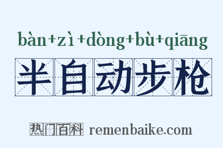 半自动步枪是什么意思的图片